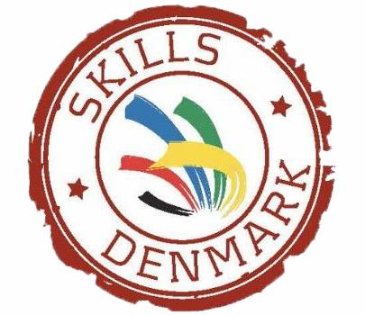 Logo for DM i Skills.