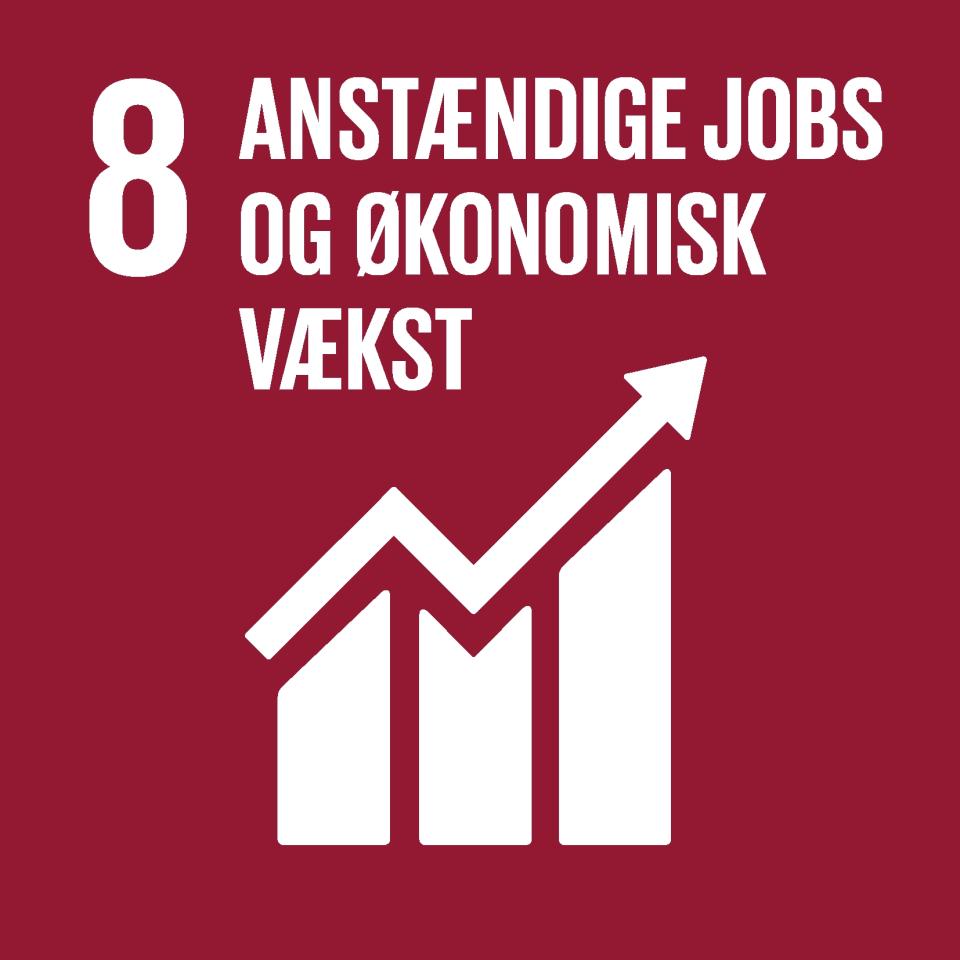 Verdensmål 8: Anstændige jobs og økonomisk vækst