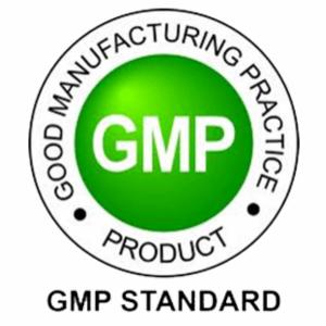 GMP Standard logo