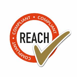 REACH logo